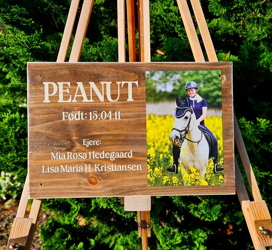 Hesteboksskilt - Renata's Wood Work