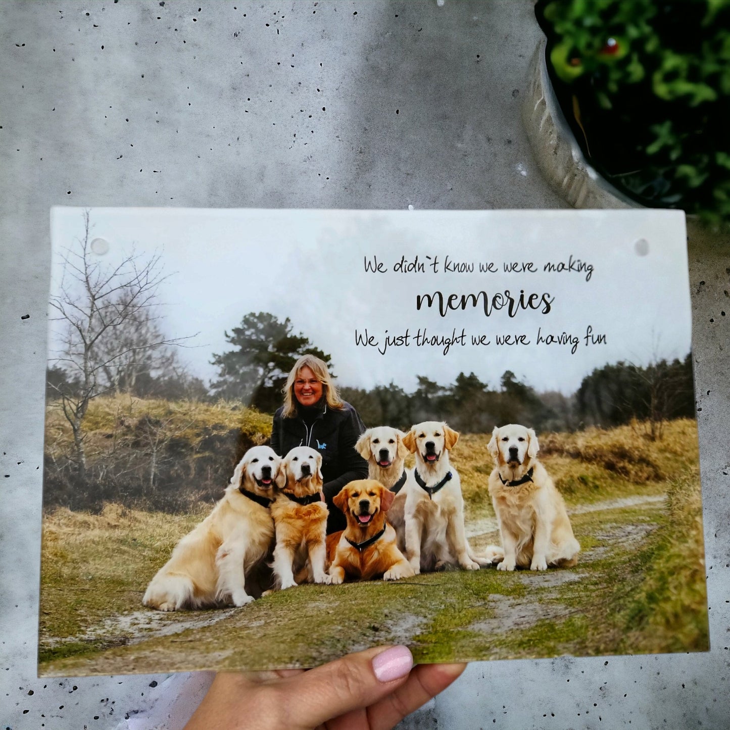 Vægbilleder - Firkanter - Renata's Wood Work